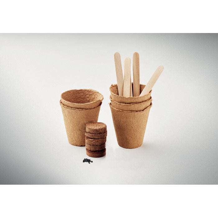 Flowers growing kit