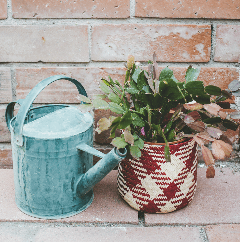 Small Tigre Handwoven Basket - Green